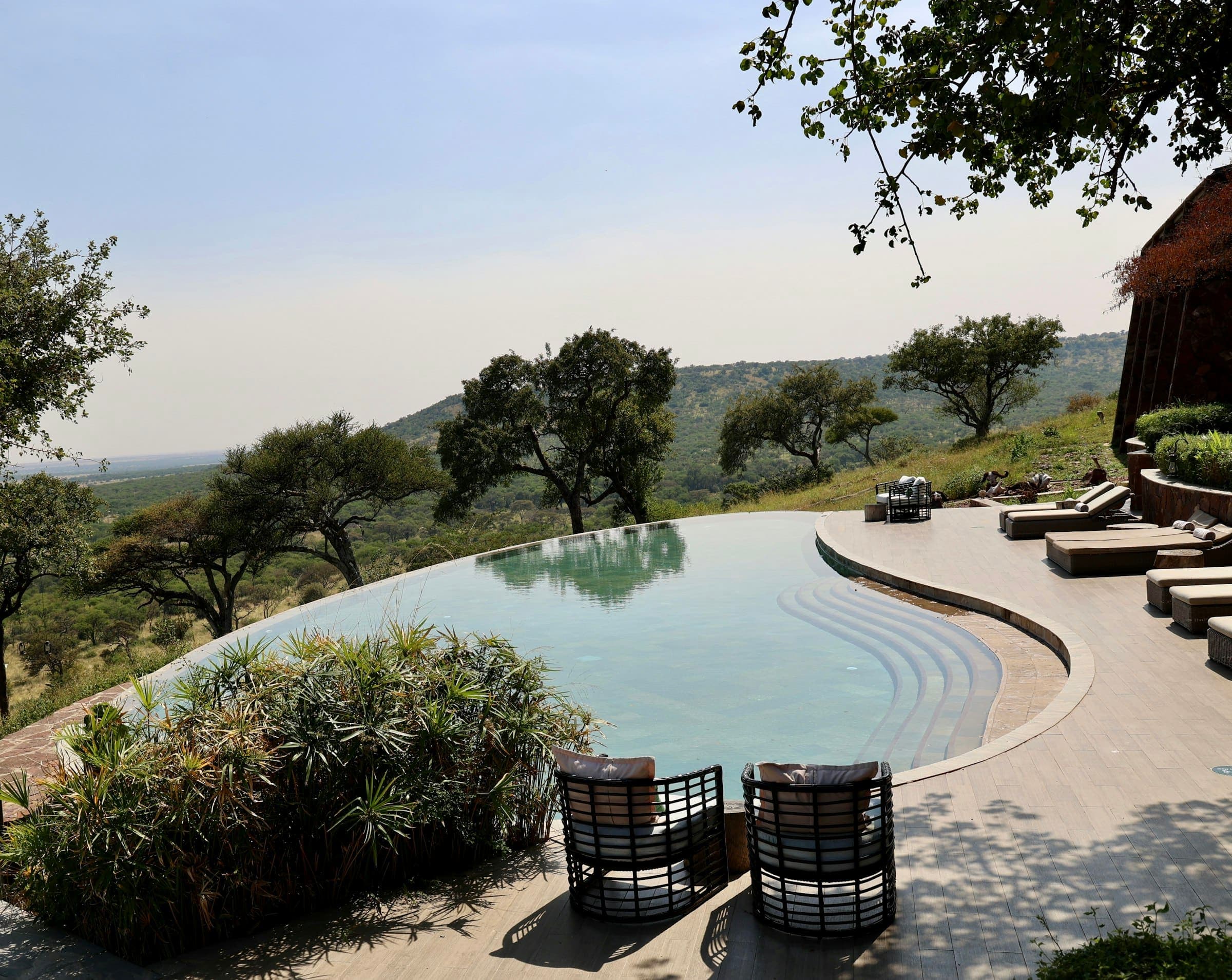 Safari lodge infinity pool and loungers overlooking acacia trees and rolling savannah